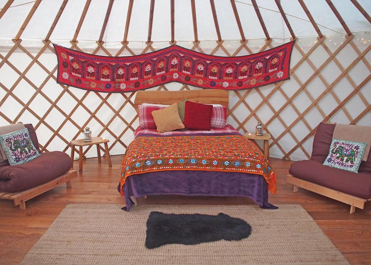 Florence Springs Glamping Gumfreston 外观 照片